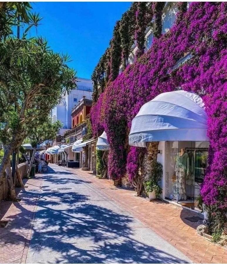 Appartamento Raila House Piano di Sorrento Esterno foto